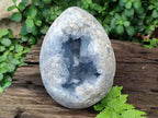 Polished Large Blue Celestite Gemstone Egg x 1 From Sakoany, Madagascar - Toprock Gemstones and Minerals 