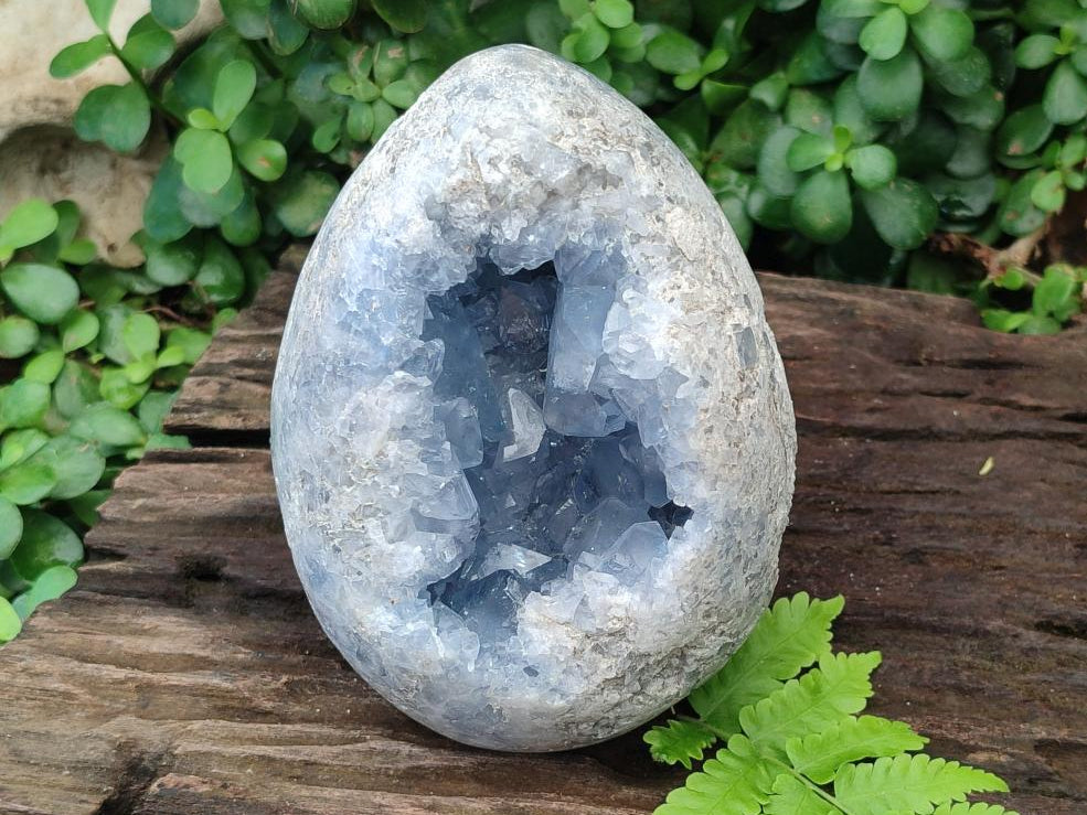 Polished Large Blue Celestite Gemstone Egg x 1 From Sakoany, Madagascar - Toprock Gemstones and Minerals 