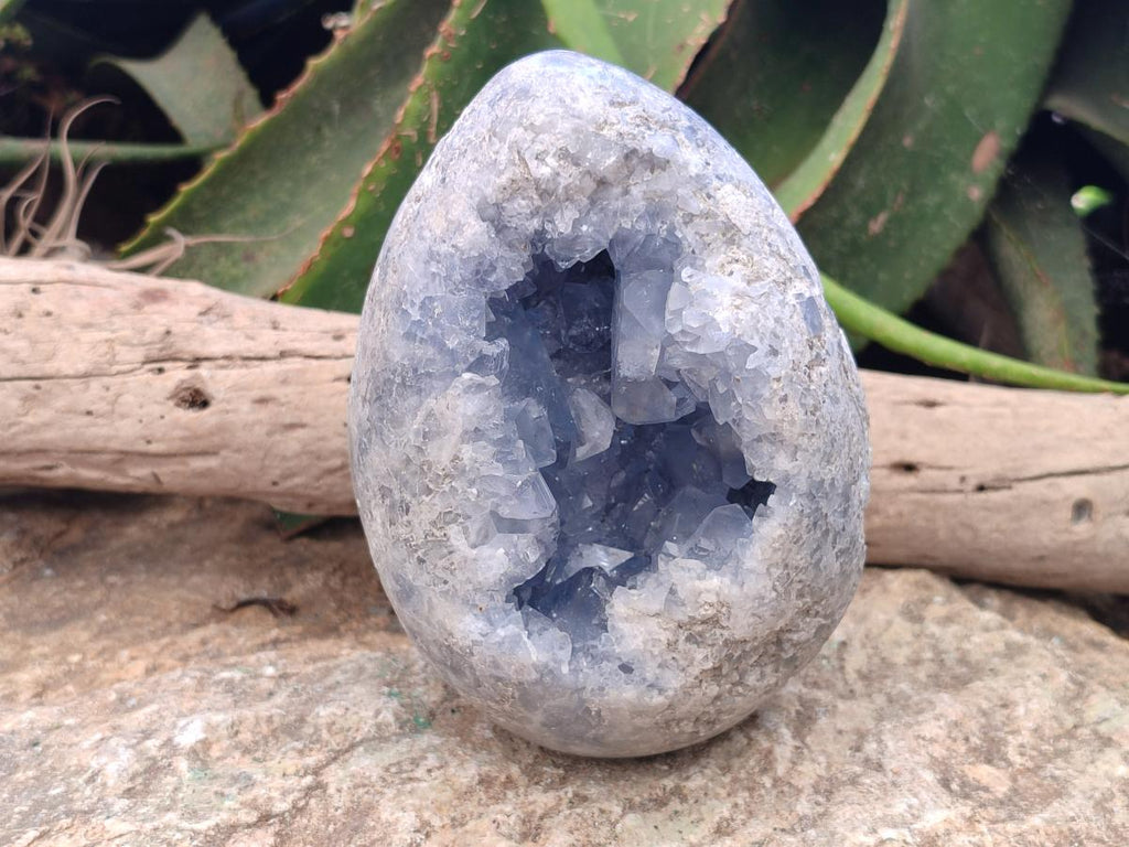 Polished Large Blue Celestite Gemstone Egg x 1 From Sakoany, Madagascar - Toprock Gemstones and Minerals 