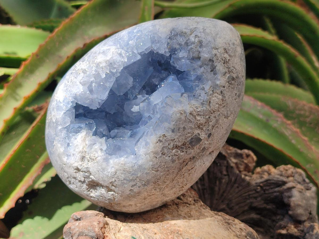 Polished Large Blue Celestite Gemstone Egg x 1 From Sakoany, Madagascar - Toprock Gemstones and Minerals 
