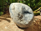 Polished Large Blue Celestite Gemstone Egg x 1 From Sakoany, Madagascar - Toprock Gemstones and Minerals 