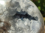 Polished Large Blue Celestite Gemstone Egg x 1 From Sakoany, Madagascar - Toprock Gemstones and Minerals 