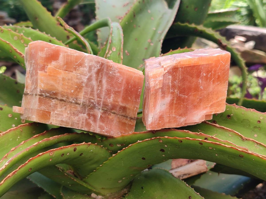 Natural Large Rhombohedral Sunset Orange Calcite Specimens x 4 From Spitzkop, Namibia