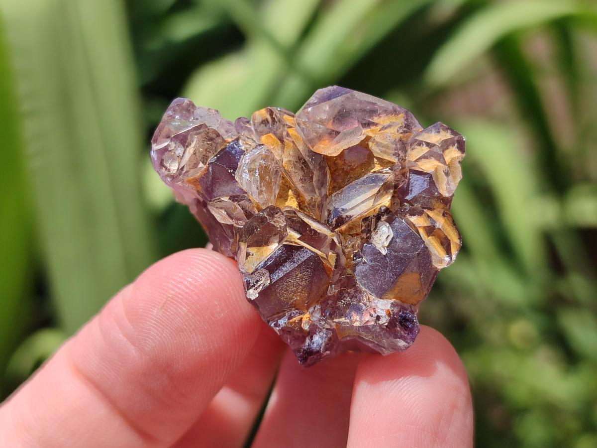 Natural Rare Amethyst Asylum Quartz Clusters x 35 From Luena, Congo