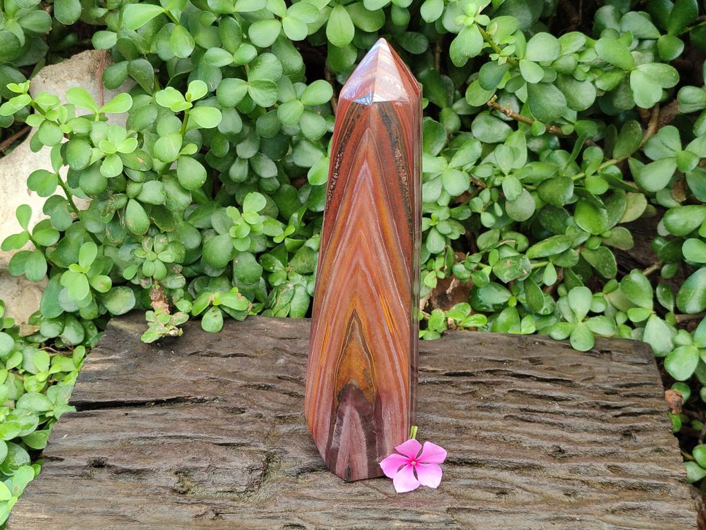 Polished Large Banded Tiger Iron Display Crystal x 1 From South Africa