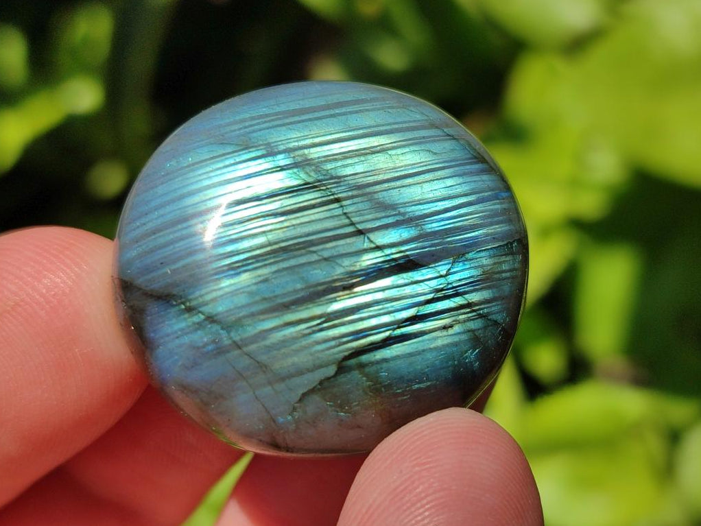 Polished Rounded Labradorite Free Forms x 70 From Madagascar