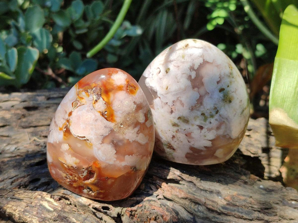 Polished Flower Agate Standing Free Forms x 6 From Antsahalova, Madagascar