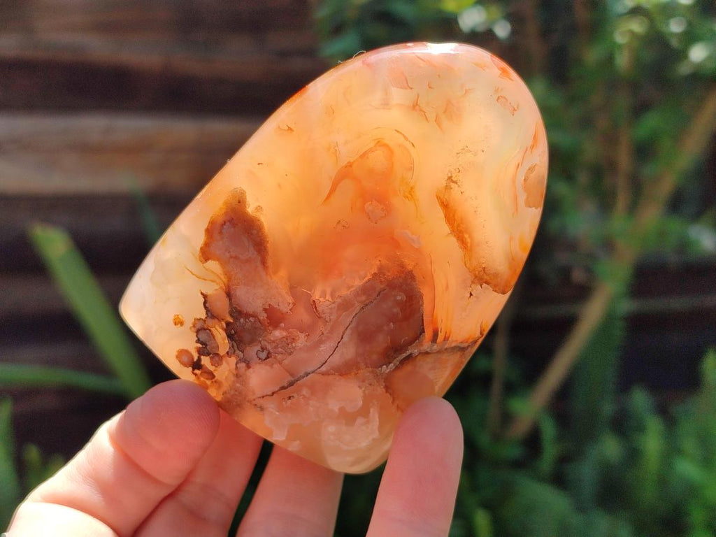 Polished Flower Agate Standing Free Forms x 6 From Antsahalova, Madagascar