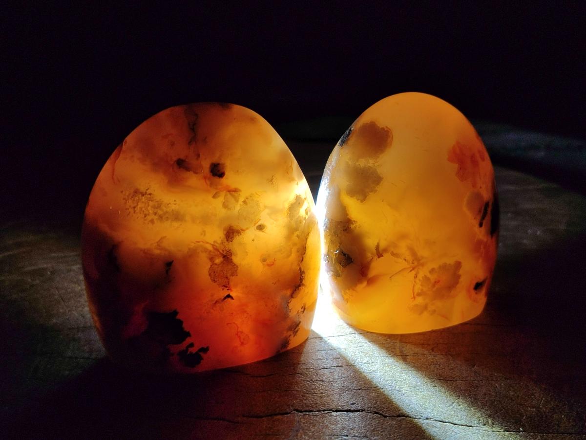 Polished Flower Agate Standing Free Forms x 6 From Antsahalova, Madagascar