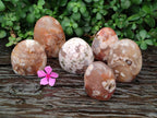 Polished Flower Agate Standing Free Forms x 6 From Antsahalova, Madagascar
