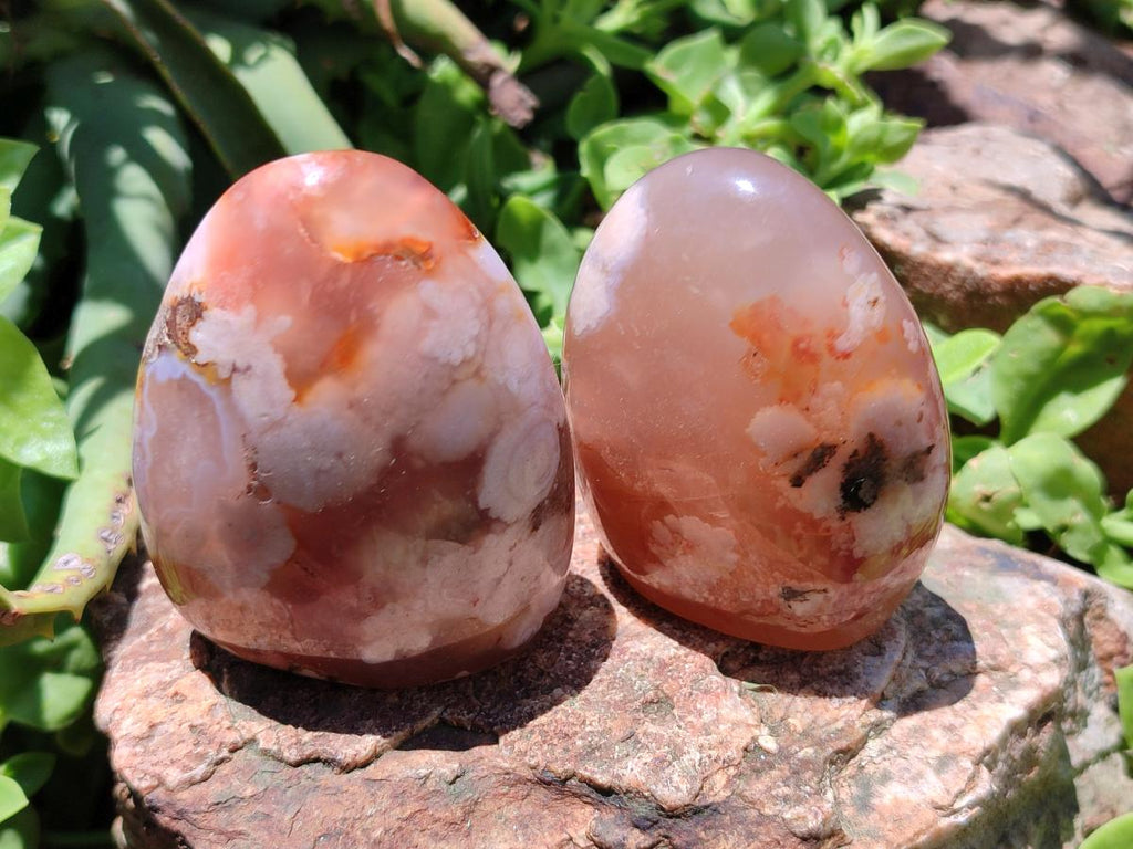 Polished Flower Agate Standing Free Forms x 6 From Antsahalova, Madagascar