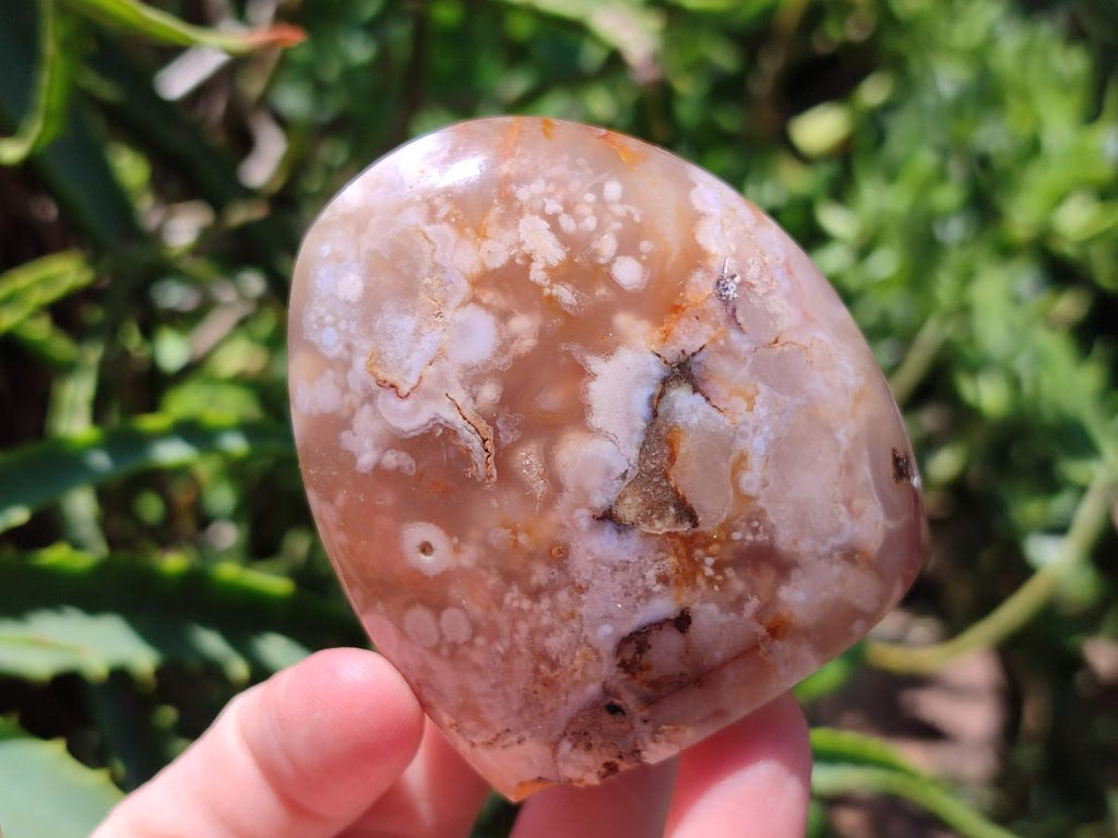 Polished Flower Agate Standing Free Forms x 6 From Antsahalova, Madagascar