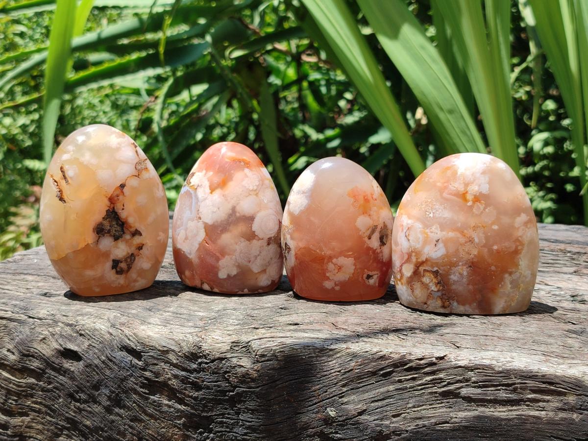Polished Flower Agate Standing Free Forms x 6 From Antsahalova, Madagascar