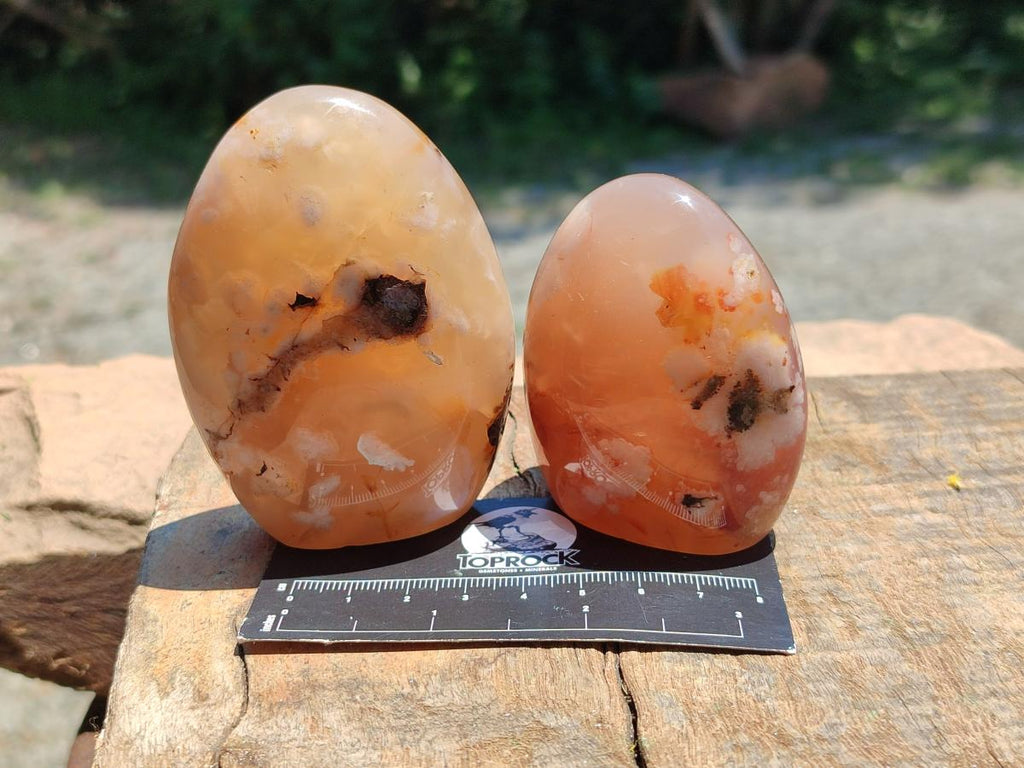 Polished Flower Agate Standing Free Forms x 6 From Antsahalova, Madagascar