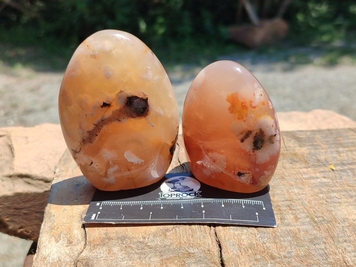Polished Flower Agate Standing Free Forms x 6 From Antsahalova, Madagascar