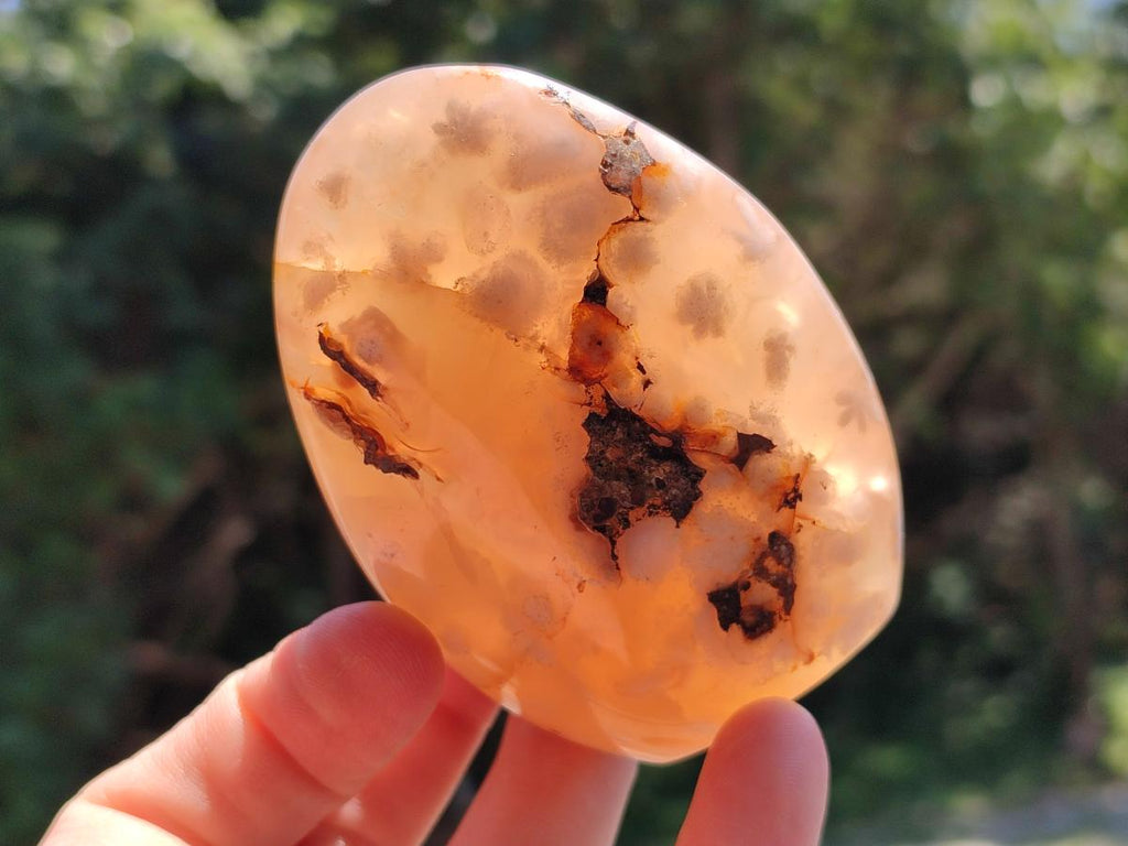 Polished Flower Agate Standing Free Forms x 6 From Antsahalova, Madagascar