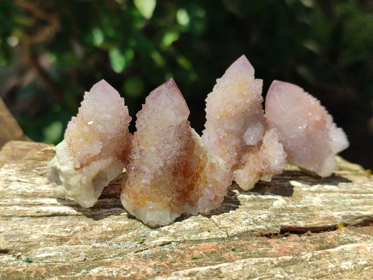 Natural Amethyst Spirit Crystals and Clusters x 35 From Boekenhouthoek, South Africa