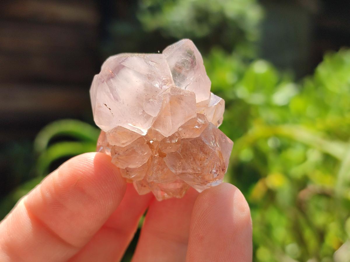 Natural Amethyst Spirit Crystals and Clusters x 35 From Boekenhouthoek, South Africa