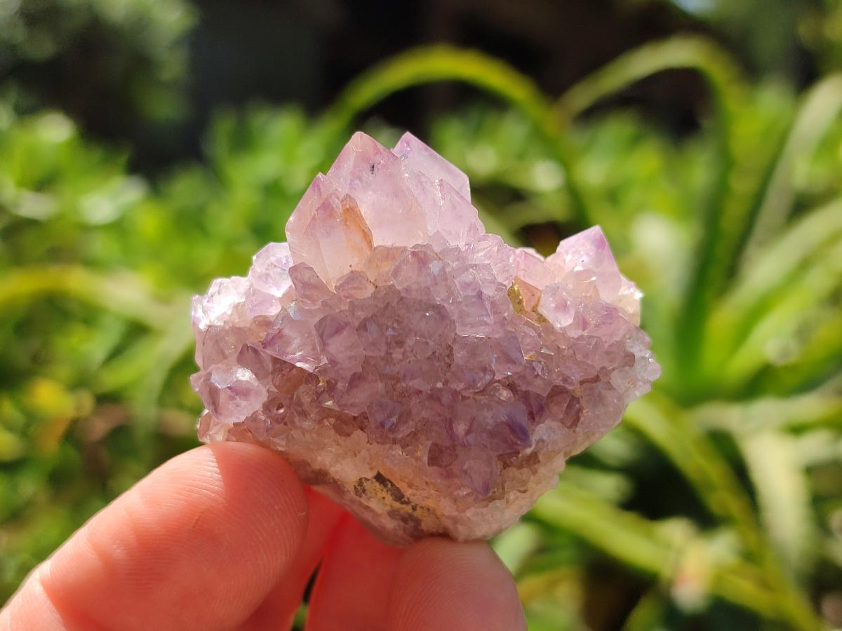 Natural Amethyst Spirit Crystals and Clusters x 35 From Boekenhouthoek, South Africa