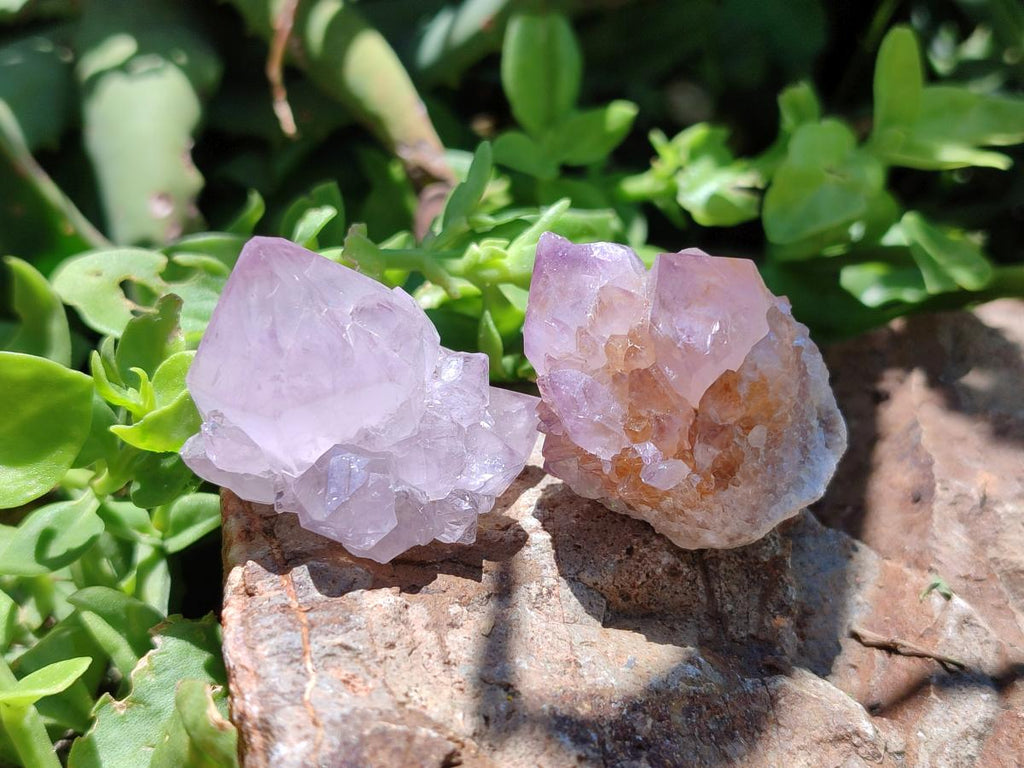 Natural Amethyst Spirit Crystals and Clusters x 35 From Boekenhouthoek, South Africa