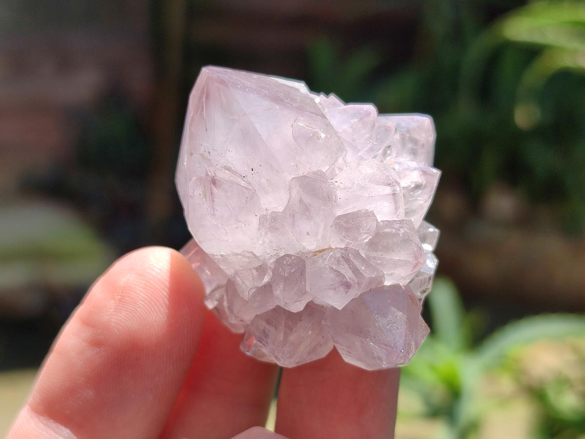 Natural Amethyst Spirit Crystals and Clusters x 35 From Boekenhouthoek, South Africa
