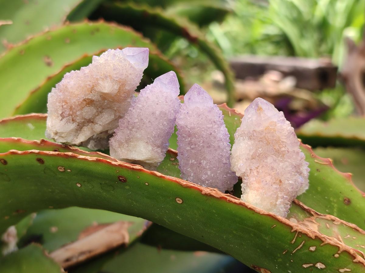 Natural Amethyst Spirit Crystals and Clusters x 35 From Boekenhouthoek, South Africa