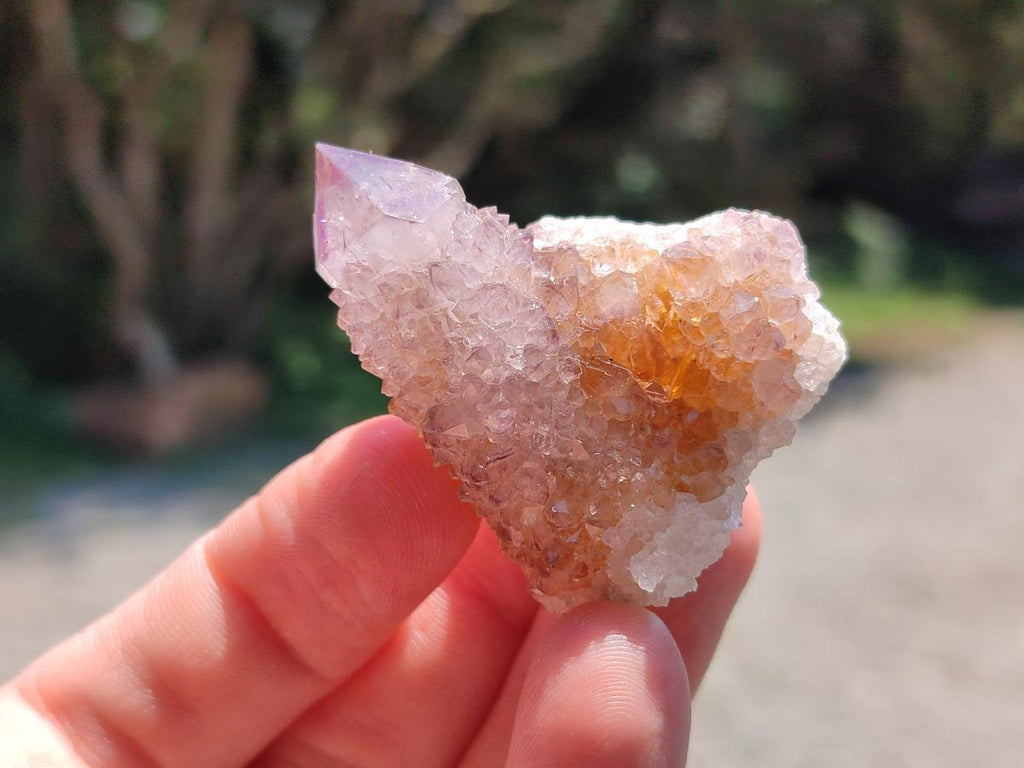 Natural Amethyst Spirit Crystals and Clusters x 35 From Boekenhouthoek, South Africa