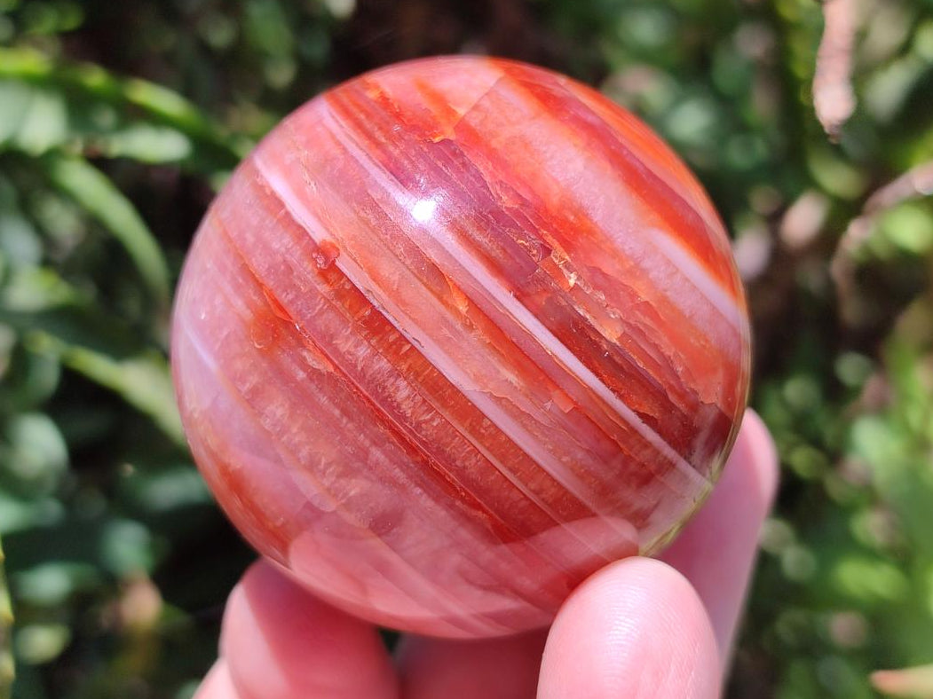 Polished Carnelian Agate Gemstone Spheres x 6 From Madagascar