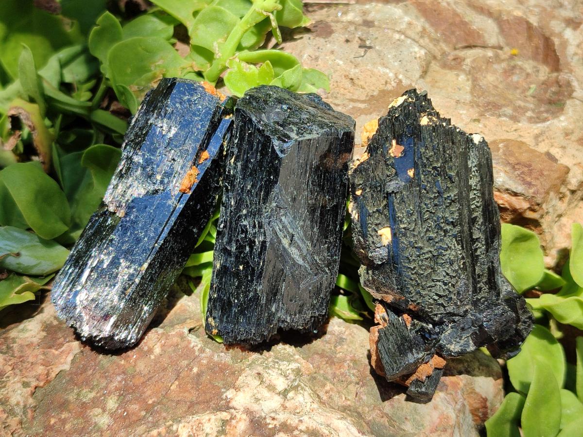Natural Schorl Black Tourmaline Specimens x 12 From Erongo, Namibia