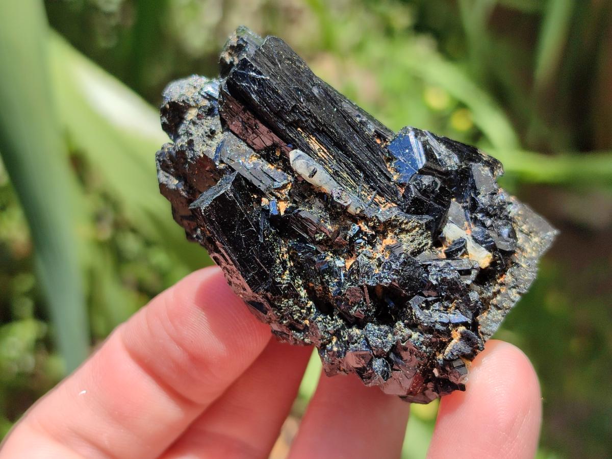 Natural Schorl Black Tourmaline Specimens x 12 From Erongo, Namibia