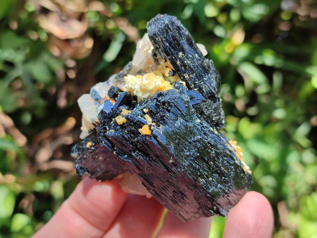 Natural Schorl Black Tourmaline Specimens x 12 From Erongo, Namibia