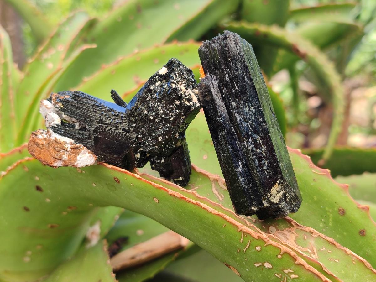 Natural Schorl Black Tourmaline Specimens x 12 From Erongo, Namibia