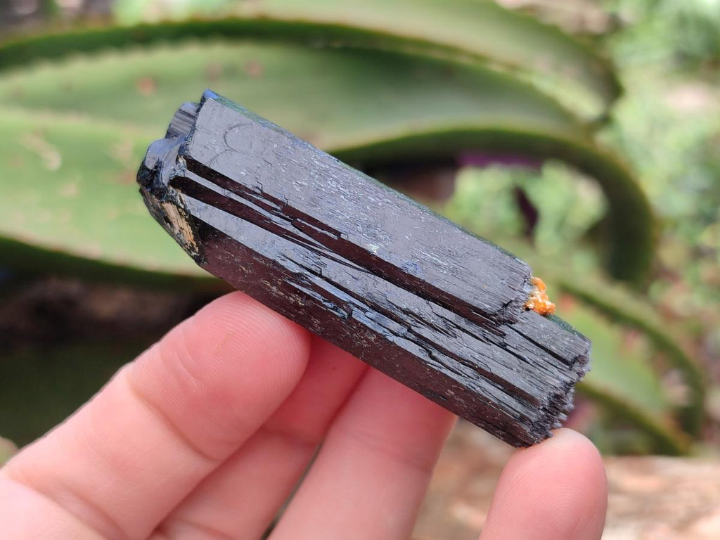 Natural Schorl Black Tourmaline Specimens x 12 From Erongo, Namibia
