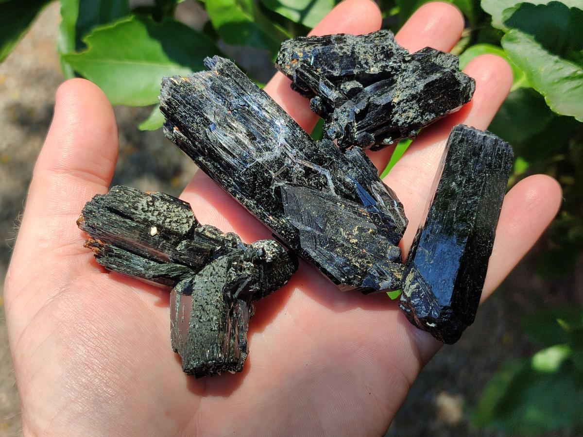Natural Schorl Black Tourmaline Specimens x 12 From Erongo, Namibia