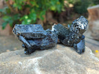 Natural Schorl Black Tourmaline Specimens x 12 From Erongo, Namibia