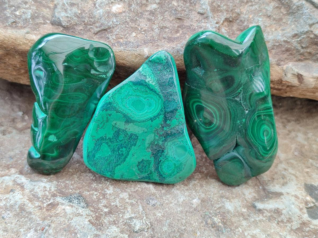 Polished Flower Banded Malachite Free Forms x 12 From Congo