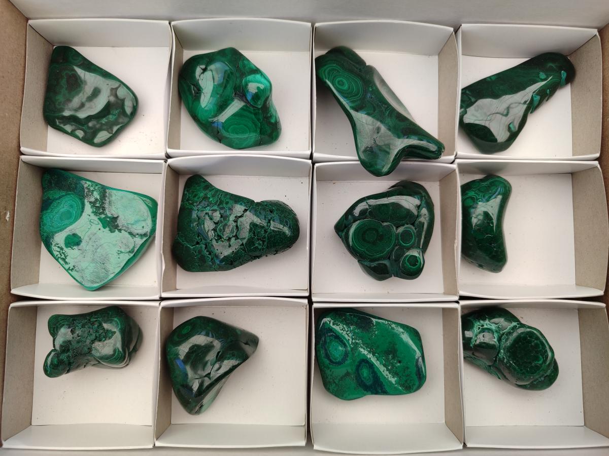 Polished Flower Banded Malachite Free Forms x 12 From Congo