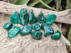 Polished Flower Banded Malachite Free Forms x 12 From Congo
