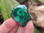 Polished Flower Banded Malachite Free Forms x 12 From Congo
