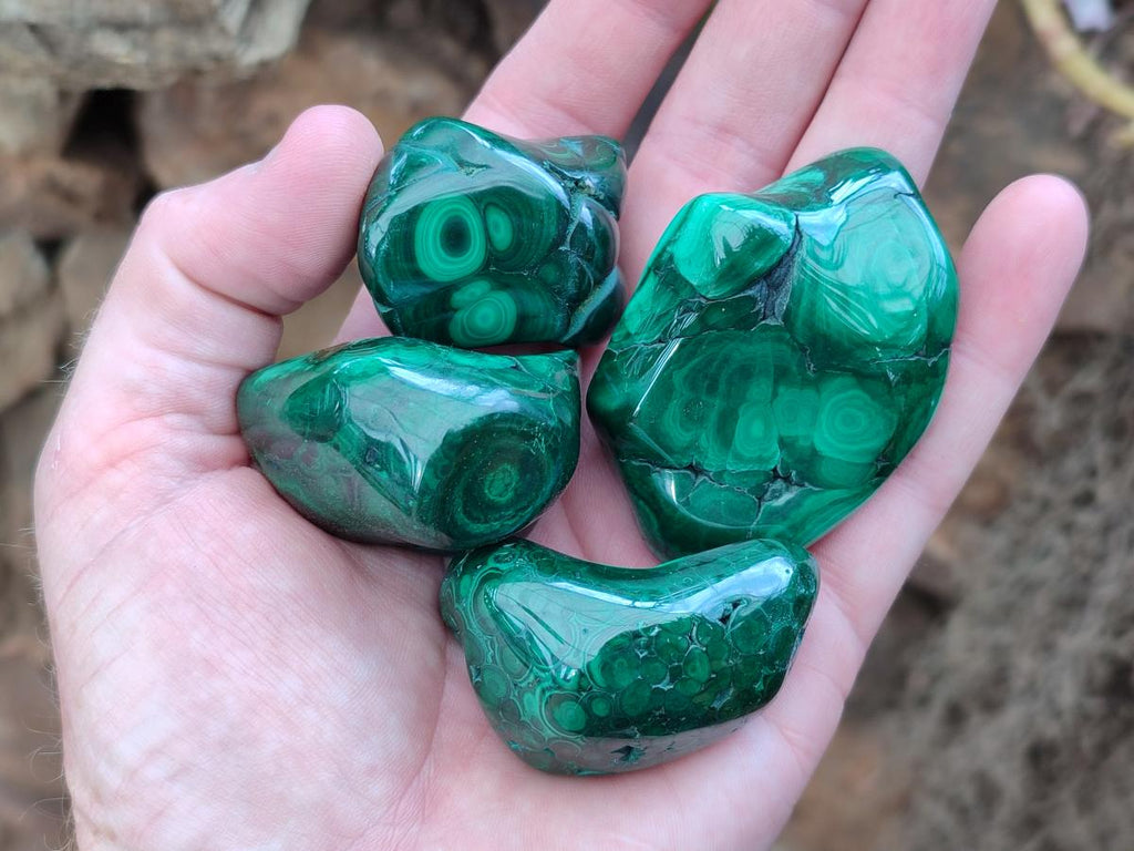 Polished Flower Banded Malachite Free Forms x 12 From Congo