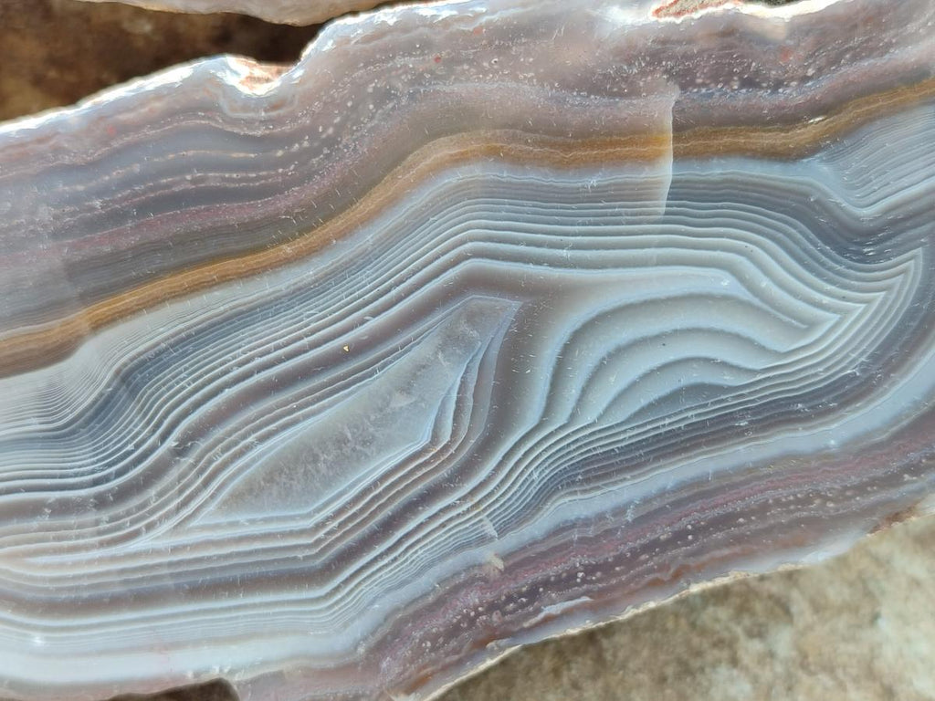 Polished One Side Large Red Shashe River Agate Nodules x 2 From Shashe River, Zimbabwe