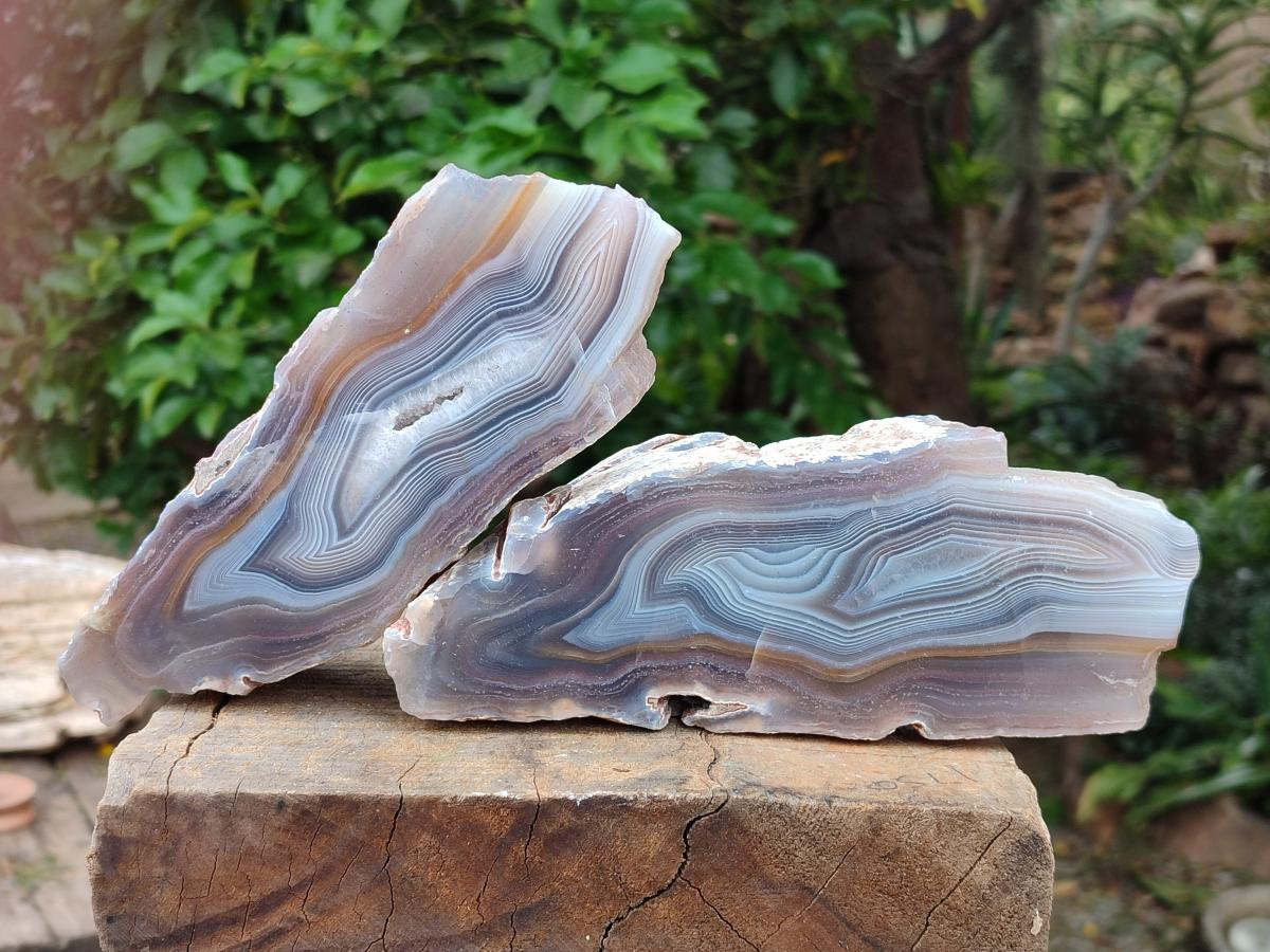 Polished One Side Large Red Shashe River Agate Nodules x 2 From Shashe River, Zimbabwe