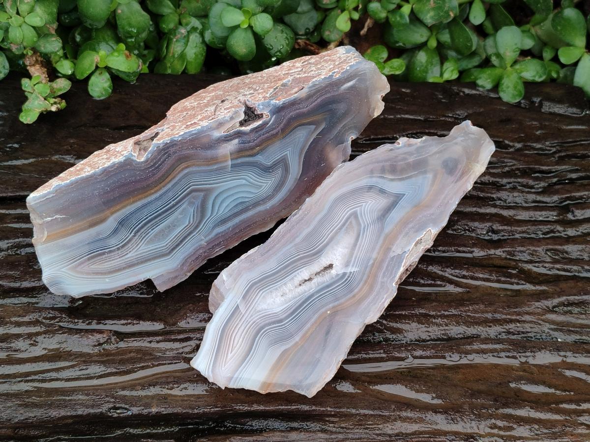 Polished One Side Large Red Shashe River Agate Nodules x 2 From Shashe River, Zimbabwe