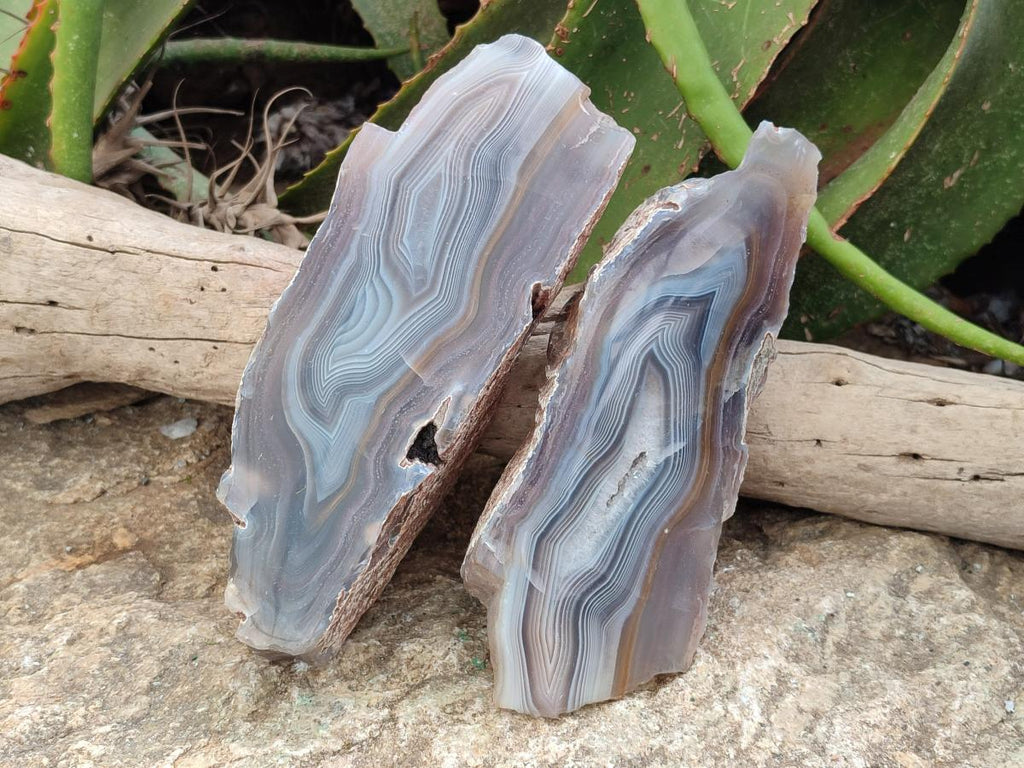 Polished One Side Large Red Shashe River Agate Nodules x 2 From Shashe River, Zimbabwe