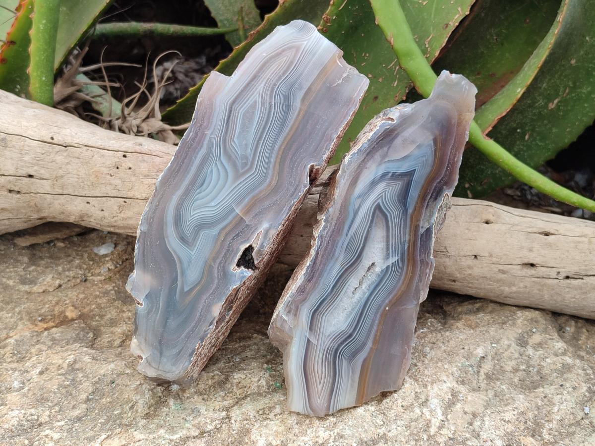 Polished One Side Large Red Shashe River Agate Nodules x 2 From Shashe River, Zimbabwe