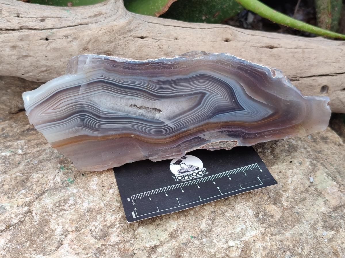 Polished One Side Large Red Shashe River Agate Nodules x 2 From Shashe River, Zimbabwe