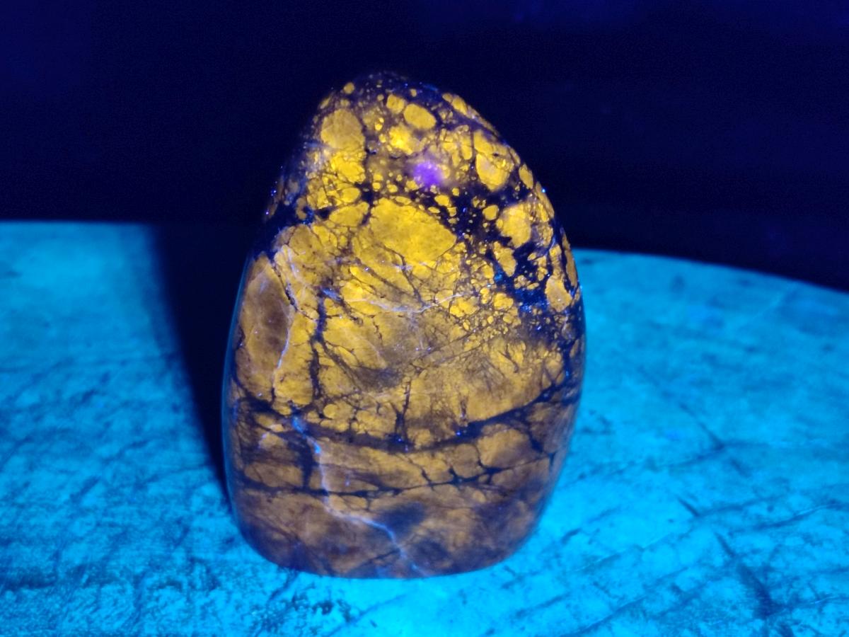 Polished Sodalite Standing Free Forms x 4 From Kunene River, Namibia