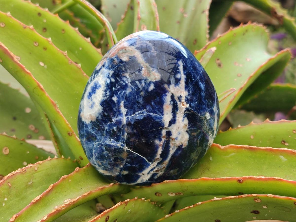 Polished Sodalite Standing Free Forms x 4 From Kunene River, Namibia