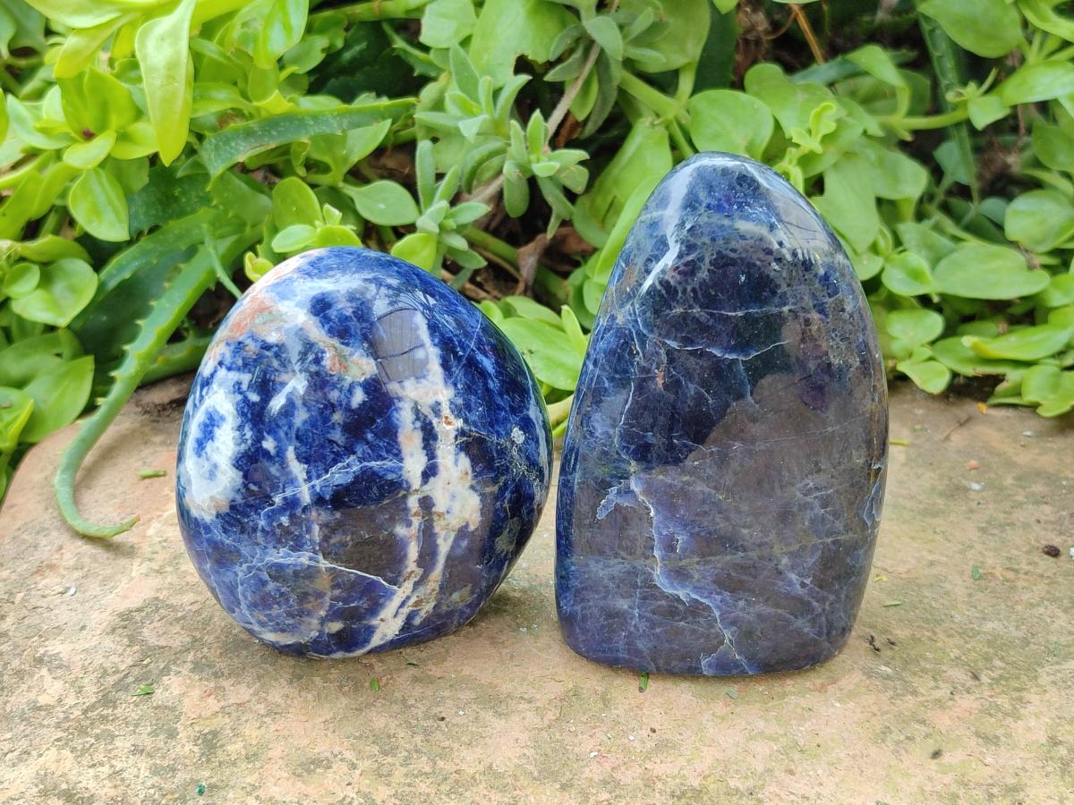 Polished Sodalite Standing Free Forms x 4 From Kunene River, Namibia