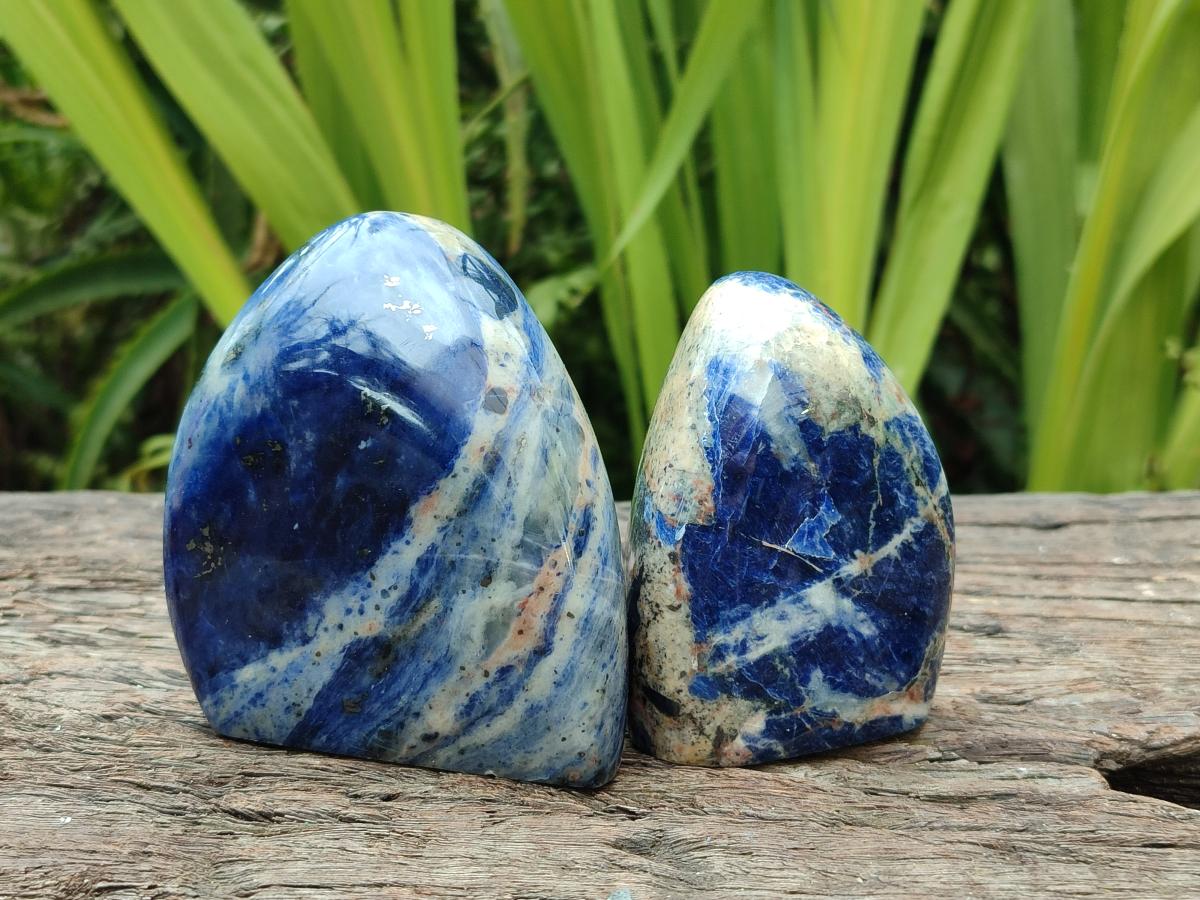 Polished Sodalite Standing Free Forms x 4 From Kunene River, Namibia